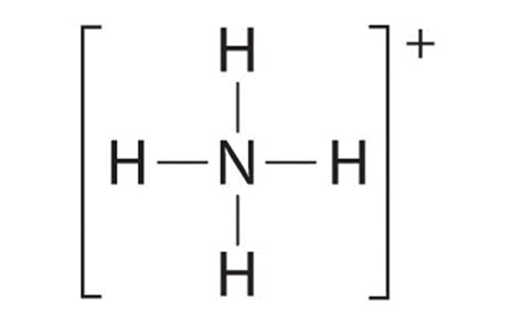 Nh4 Dot Structure