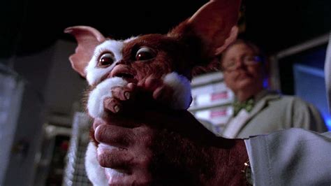 Gremlins is the perfect horror gateway film | SYFY WIRE