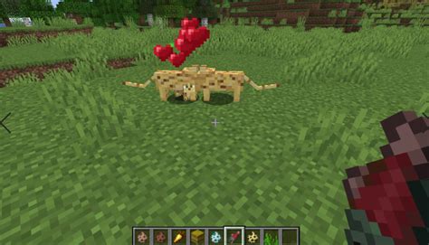 Minecraft: Animal Breeding Guide - How-To Breed All Animals! (2021 ...