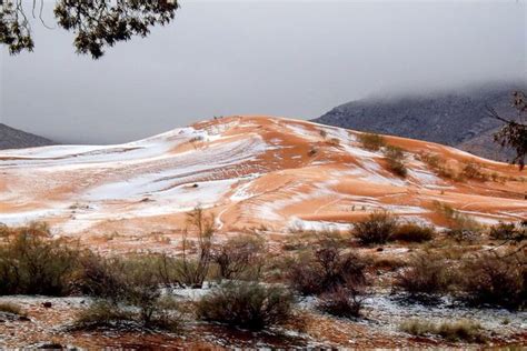 These Photos Of A Snowy Sahara Desert Show The True Effects Of Climate ...