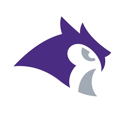 Introducing the Kenyon Owls | Kenyon College