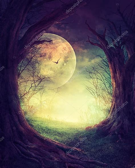 Halloween Spooky Forest Stock Photo by ©mythja 123247370