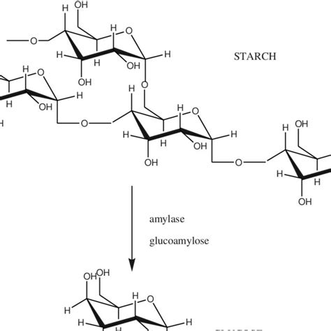 Hydrolysis Of Starch Gives - UNDER ACID HYDROLYSIS CONDITIONS STARCH IS ...