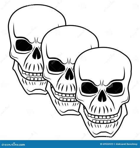 Skull 3 Stock Vector - Image: 69926929