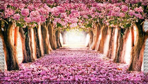 Spring Colorful Wallpapers - Wallpaper Cave