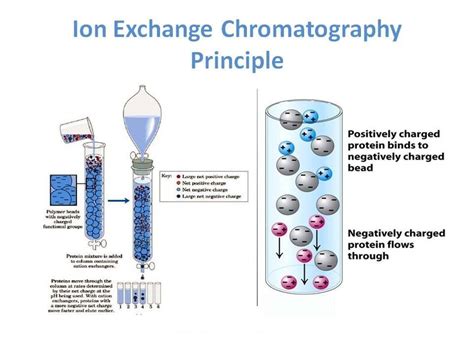 How does ion exchange chromatography resin work? - FAQ - Taiyuan ...