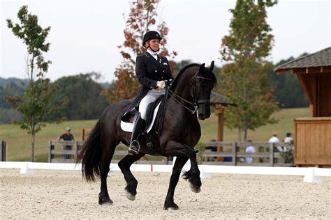 BREC Dressage - Ocala's Best Dressage Training and Horse Farm