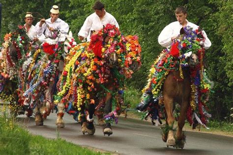 2023 The Best of Maramures in One Day provided by Maramures Tours