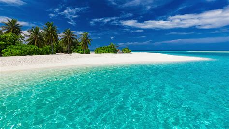 9 Best Beaches in Tahiti | Worldwide Boat