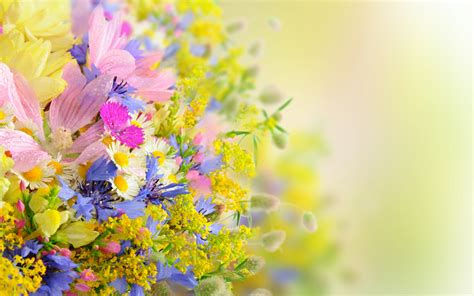 Pastel Flower Bliss - HD Wallpaper