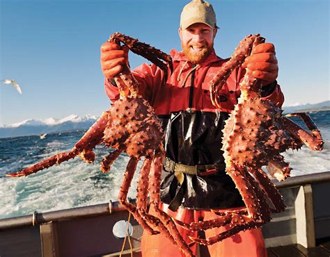 Crabs from Alaska: Types, characteristics and more