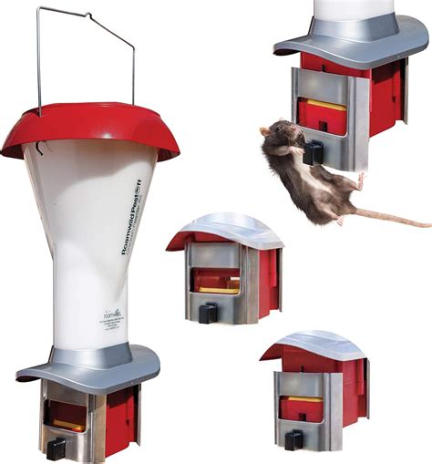 Amazon.com : Roamwild Rat Proof Chicken Feeder kit - Rat Proof Poultry ...