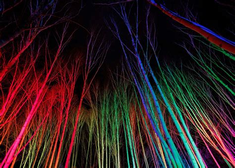 Anglesey Abbey winter lights at Lode, near Newmarket, are the perfect ...