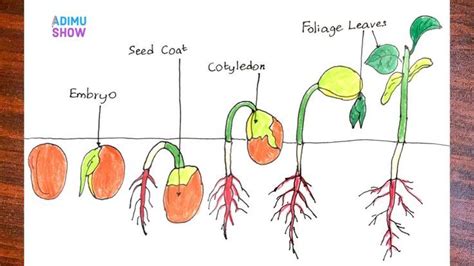 Pin on Drawing science diagrams