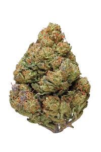 Lemon Pound Cake Strain - Hybrid Cannabis Video, THC, Terps : Hytiva