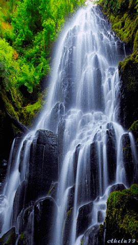 Анимированное фото | Waterfall, Waterfall pictures, Scenic waterfall