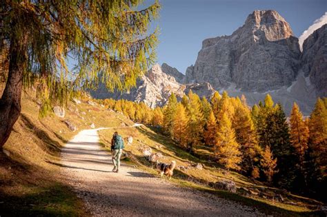 The Perfect Autumn Road Trip Across The Dolomites