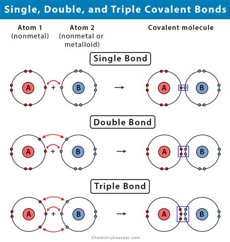 Single Covalent Bond: Definition and Examples