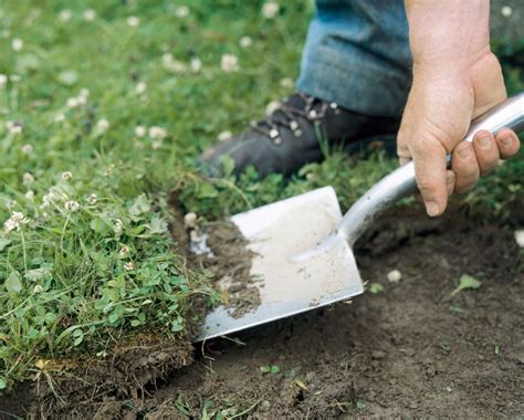 How to Remove a Lawn From a Yard | How to remove grass, Cleaning hacks ...