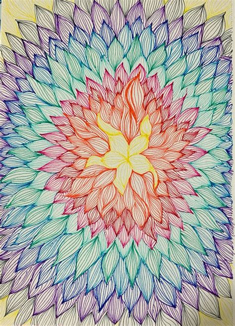 a drawing of a flower with colored petals