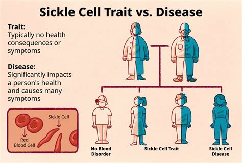 Can You Carry Sickle Cell Without Manifesting Symptoms?