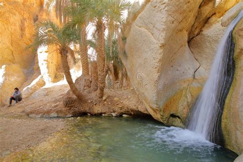 Waterfall In Mountain Oasis Chebika Stock Photo - Image of waterfall ...