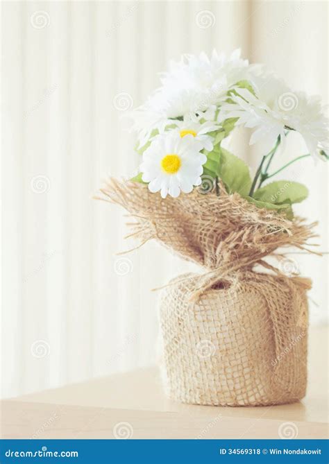 Soft flower stock photo. Image of floral, flower, decoration - 34569318