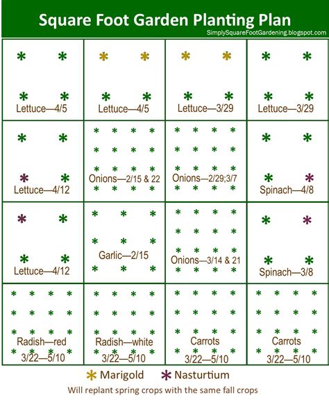 Spacing For Radishes In Square Foot Gardening - all about hobby