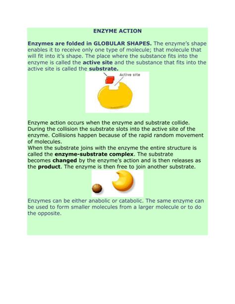 enzyme-substrate complex