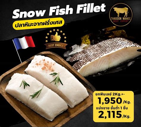 🐟Snow fish fillet (ปลาหิมะฟินเลย์)🐟 นำเข้าจากประเทศฝรั่งเศส | LINE SHOPPING