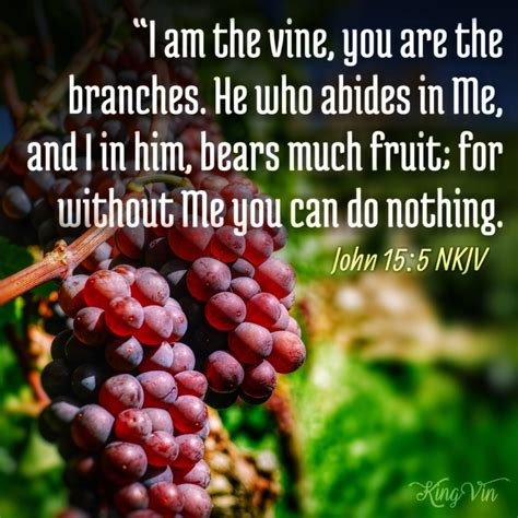 I am the vine - I Live For JESUS