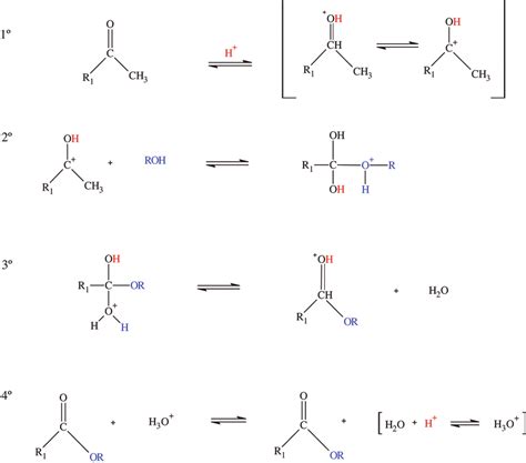 Esterification Mechanism