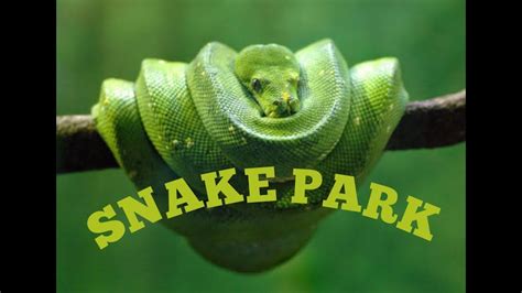 Chennai Snake Park | Guindy| India's first reptile park - YouTube