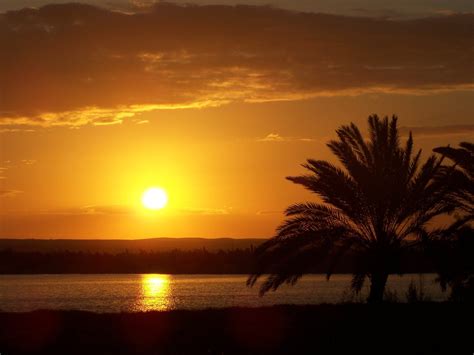 sunset in egypt Free Photo Download | FreeImages