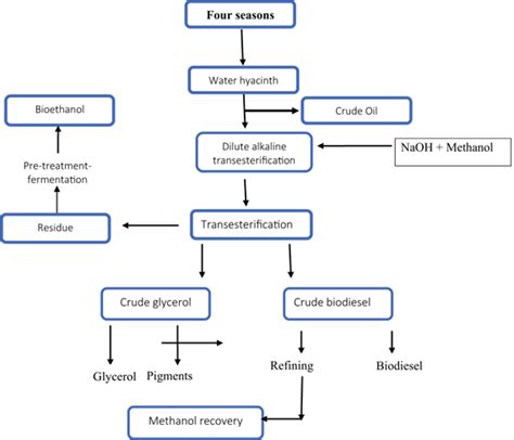 Diagrams illustrating the main steps for production of biofuel and ...