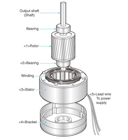 Describe the Parts of a Motor Unit.