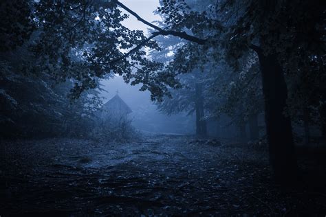 Old haunted wooden house, spooky misty foggy forest, halloween holiday ...