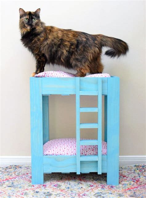 How to Build Cat Bunk Beds ⋆ Dream a Little Bigger