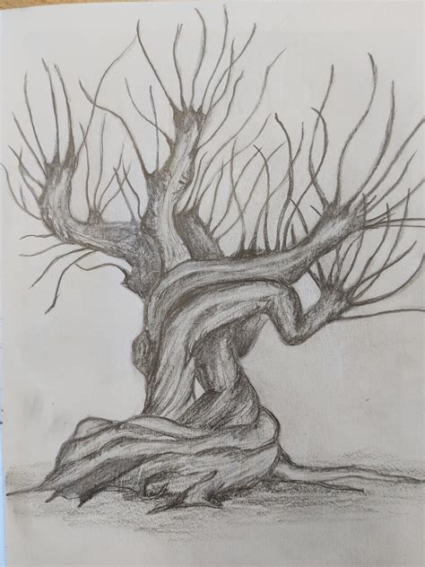 Harry Potter Whomping Willow Drawing