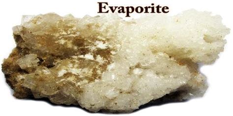 Evaporite - Assignment Point