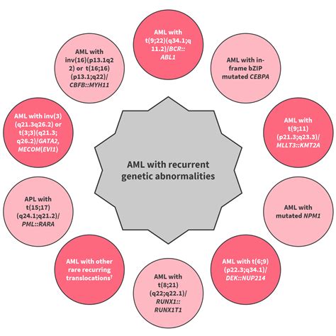 2022 ELN recommendations for the diagnosis of AML in adults (2022)