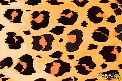 How To Draw Leopard Spots - Elevatorunion6