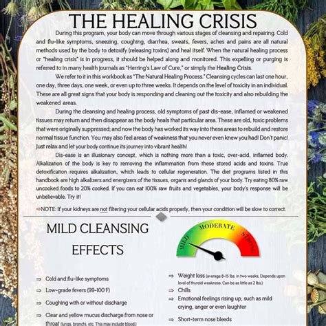 The Healing Crisis PDF | Dr. Morse's Herbal Health Club