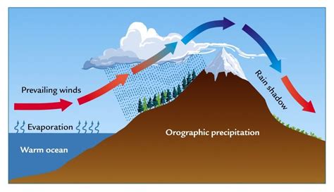 5 types of rainfall