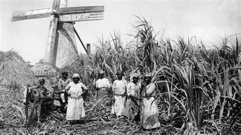 The Brief Point-Form History of Barbados | Bougainvillea Barbados Blog