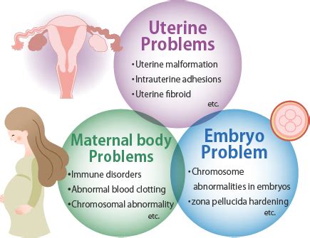 Recurrent Miscarriage & Repeated Implantation Failure | Inferitility ...