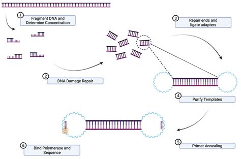 IJMS | Free Full-Text | Narrative Review: Update on the Molecular ...