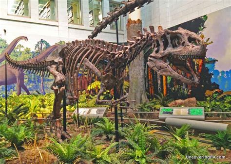 Exploring Dinosaurs, Gems, and World History at the Fantastic Carnegie ...