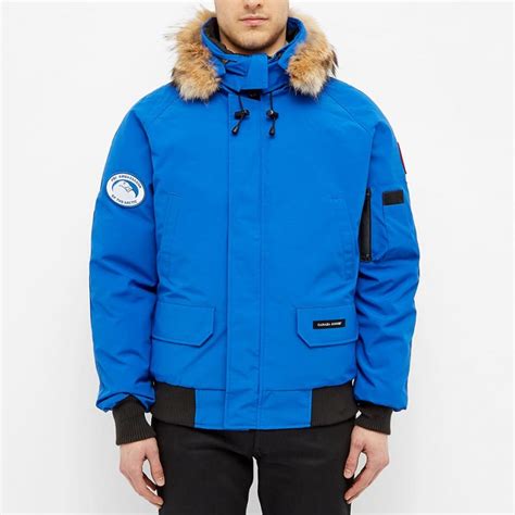 Canada Goose PBI Chilliwack Bomber Jacket 'Royal Blue' | MRSORTED