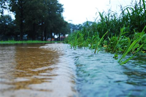 Rethinking Runoff: How Stormwater Can be Harnessed for Better Design ...